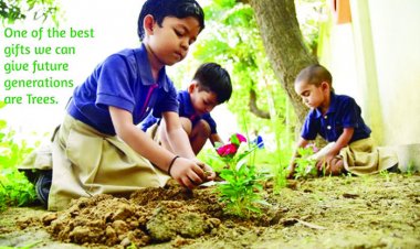 बाडमेर के फागलिया क्षेत्र में स्कूल में 600 पौधे लगाए 