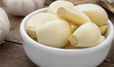ફક્ત બે કળી કાચું લસણ કરાવશે અનેક ફાયદા