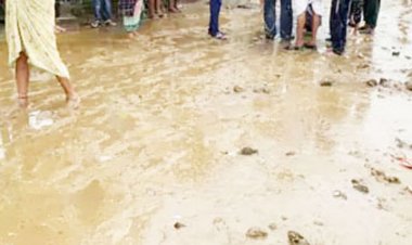 અમરોલી છાપરાભાઠા રોડ પર ચૌધરીવાસના રસ્તાઓ ગોબરથી ખદબદે છે, લોકોમાં ભભૂકતો રોષ