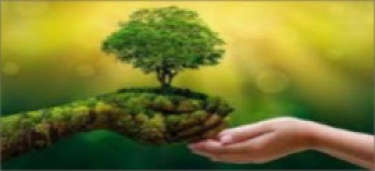 जैनशिल्प समाचार अखबार का अभियान समग्र विश्व में पर्यावरण बचाओ का