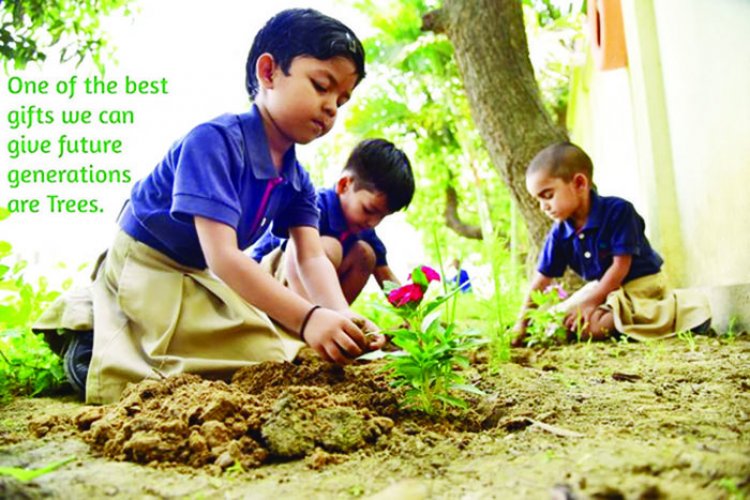 बाडमेर के फागलिया क्षेत्र में स्कूल में 600 पौधे लगाए 