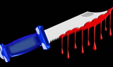 અમદાવાદમાં સાળાએ બનેવીને મોતને ઘાટ ઉતાર્યો