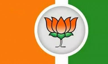 સુરત મહાનગરના 30 વોર્ડના પ્રભારીઓની નિમણુક કરાઈ