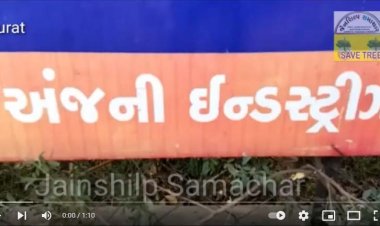 અસામાજિક તત્વોએ અંજલી ઈન્ડ. બંઘ કરાવ્યું 