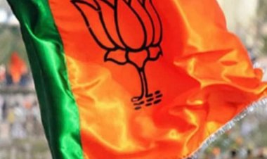 કોંગ્રેસમાંથી ભાજપમાં સામેલ થયેલા કાર્યકરને સ્ટેજ-સ્થાન આપતા ભાજપમાં સર્જાયો વિવાદ