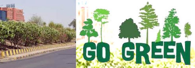 નારણપુરામાં  ૧૦૦ ફૂટનો રોડ કરવા મામલે લોકોમાં આક્રોશ!
