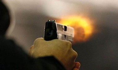 બેગુસરાઈમાં આડેધડ ફાયરિંગ ઘટનામાં ૭ પોલીસકર્મીઓને કરાયા સસ્પેન્ડ