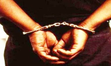 હોડી બંગલાની એક રેસ્ટોરન્ટમાં ગૌમાંસની વાનગી પીરસાતી હતી, માલિકની ધરપકડ