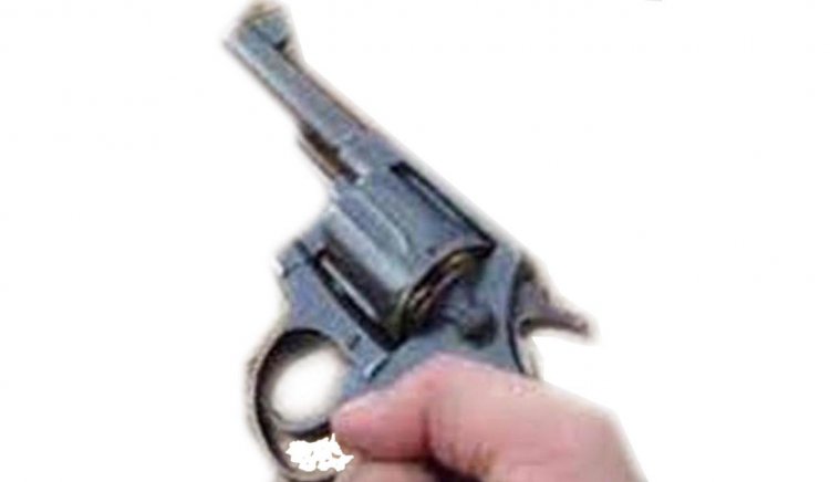 દાટેલો તમંચો કાઢીને ઘરે લઈ જતાં ક્રાઈમ બ્રાન્ચે ઝડપી પાડ્યો