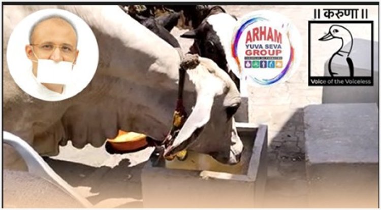 શ્રી કરૂણા ફાઉન્ડેશન ટ્રસ્ટ, એનીમલ હેલ્પલાઇન દ્વારા પક્ષીઓનાં માળા—પીવાનાં પાણીની કુંડી,  'રામપાતર' અને ગાયોની પાણી પીવાની કુંડી બારે મહિના નિઃશુલ્ક વિતરણ