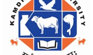 કામધેનુ યુનિવર્સિટીના વાઈસ ચાન્સેલર ડૉ. પી. એચ. ટાંક સાથે વૈચારિક ગોષ્ઠીનું આયોજન